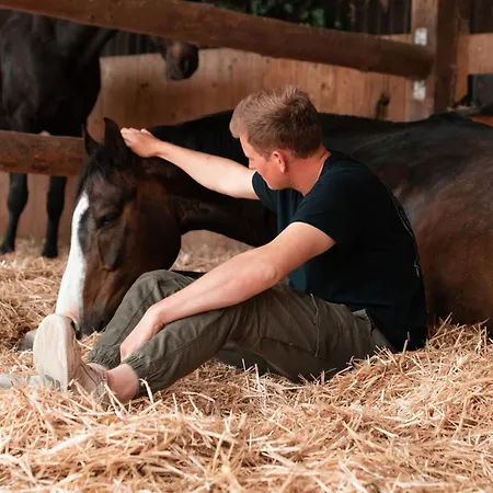 Urlaubsreiterhof Trunk