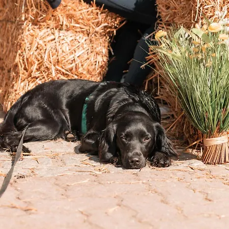 Appartement Urlaubsreiterhof Trunk *