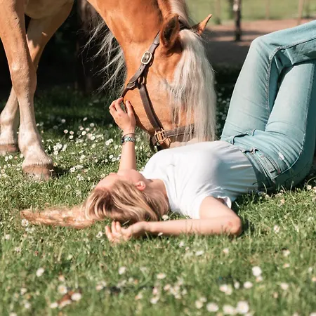 Urlaubsreiterhof Trunk Appartement