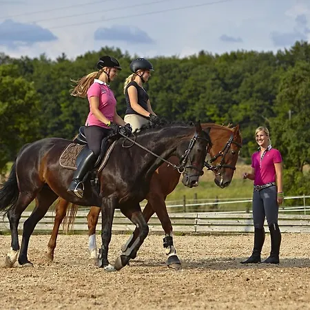 Appartement Urlaubsreiterhof Trunk Igersheim