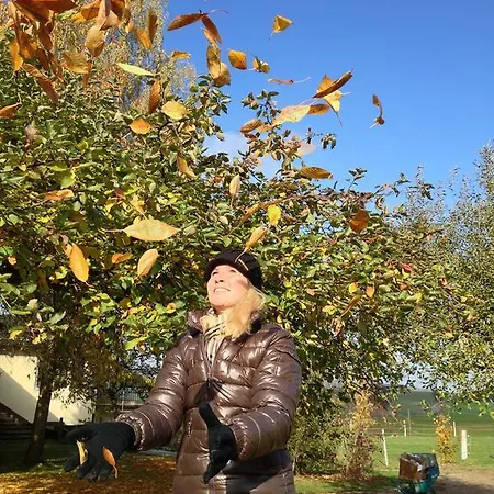 Appartement Urlaubsreiterhof Trunk Igersheim